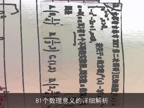 81个数理意义的详细解析