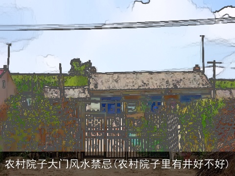 农村院子大门风水禁忌(农村院子里有井好不好)