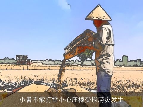 小暑不能打雷小心庄稼受损涝灾发生