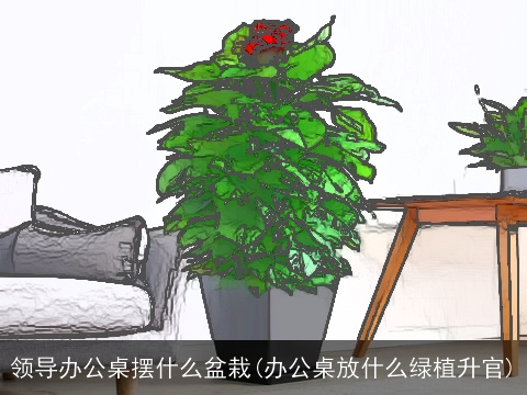 领导办公桌摆什么盆栽(办公桌放什么绿植升官)