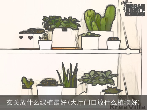 玄关放什么绿植最好(大厅门口放什么植物好)