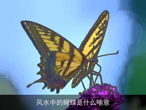 风水中的蝴蝶是什么喻意