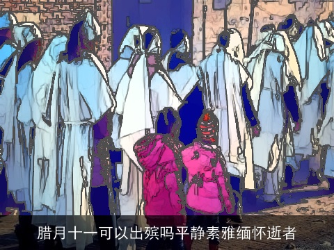 腊月十一可以出殡吗平静素雅缅怀逝者