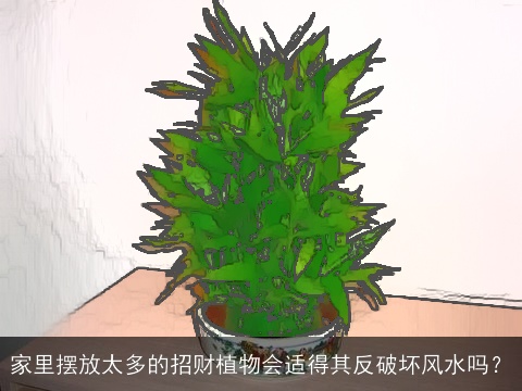家里摆放太多的招财植物会适得其反破坏风水吗？