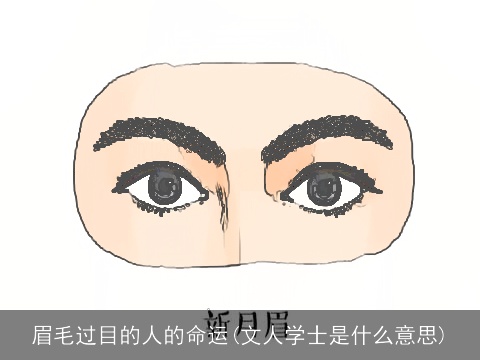 眉毛过目的人的命运(文人学士是什么意思)