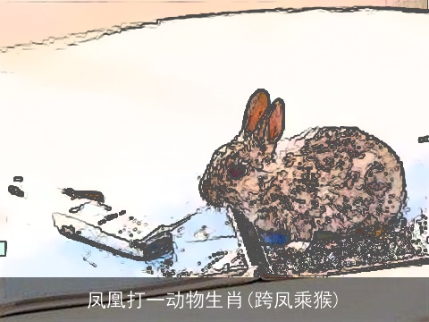 凤凰打一动物生肖(跨凤乘猴)