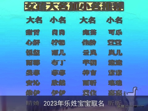 2023年乐姓宝宝取名