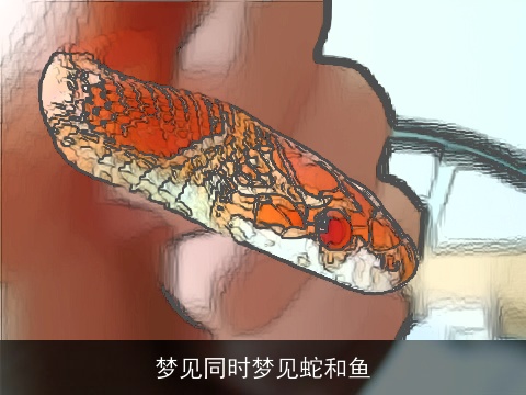 梦见同时梦见蛇和鱼