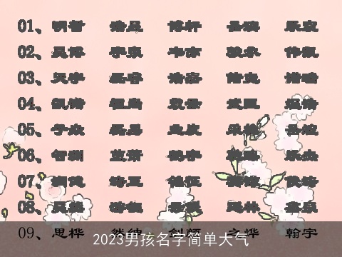 2023男孩名字简单大气