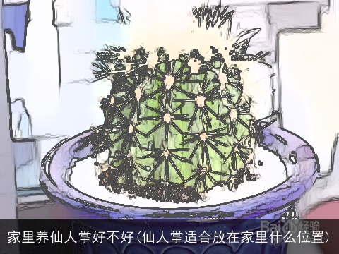 家里养仙人掌好不好(仙人掌适合放在家里什么位置)