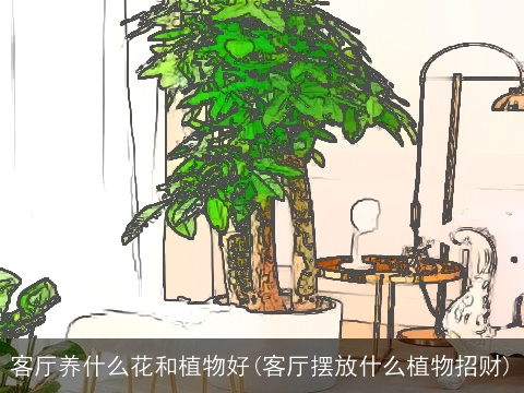 客厅养什么花和植物好(客厅摆放什么植物招财)