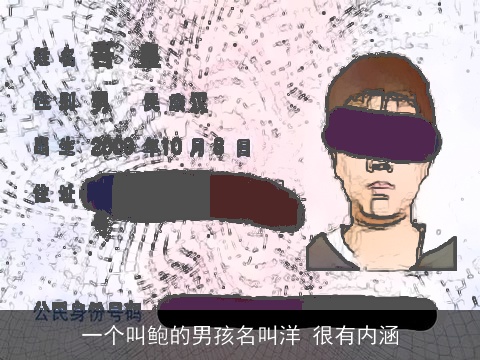 一个叫鲍的男孩名叫洋 很有内涵