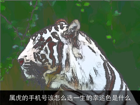 属虎的手机号该怎么选一生的幸运色是什么