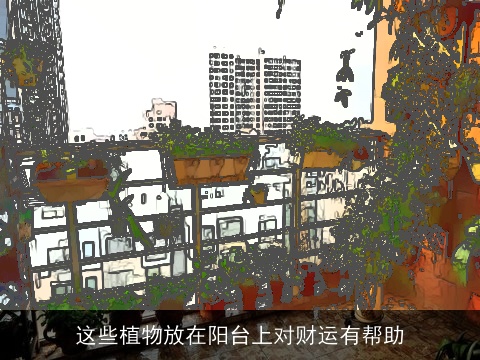 这些植物放在阳台上对财运有帮助