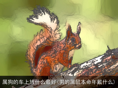 属狗的车上放什么最好(男的属鼠本命年戴什么)