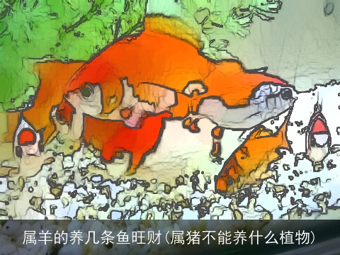 属羊的养几条鱼旺财(属猪不能养什么植物)