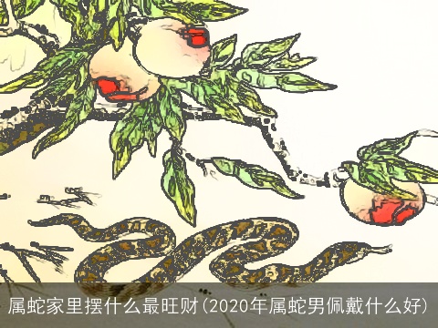 属蛇家里摆什么最旺财(2020年属蛇男佩戴什么好)
