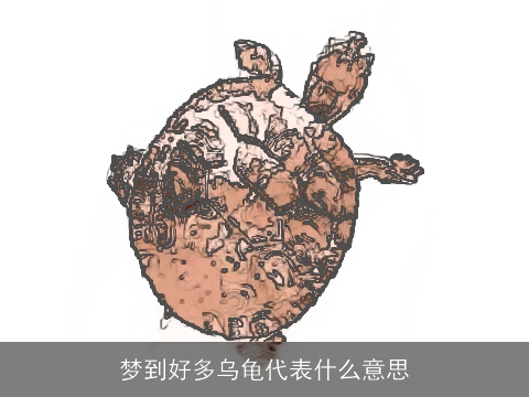 梦到好多乌龟代表什么意思