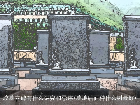 坟墓立碑有什么讲究和忌讳(墓地后面种什么树最好)