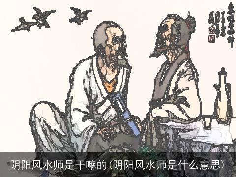 阴阳风水师是干嘛的(阴阳风水师是什么意思)