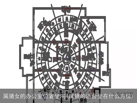 属猪女的办公室位置坐向(属猪的适合坐在什么方位)