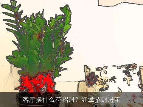 客厅摆什么花招财？红掌招财进宝