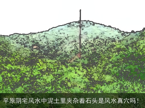 平原阴宅风水中泥土里夹杂着石头是风水真穴吗！