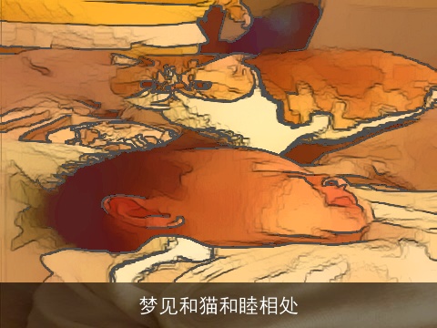 梦见和猫和睦相处