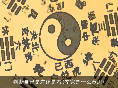 判断自己是左还是右(左家是什么意思)