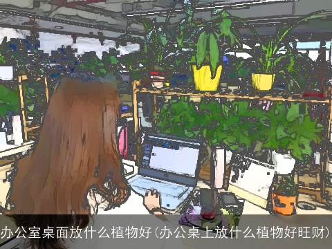 办公室桌面放什么植物好(办公桌上放什么植物好旺财)