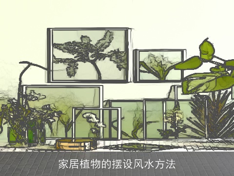 家居植物的摆设风水方法