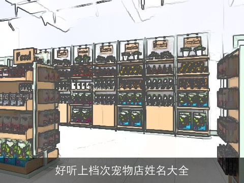 好听上档次宠物店姓名大全