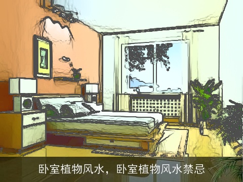 卧室植物风水，卧室植物风水禁忌