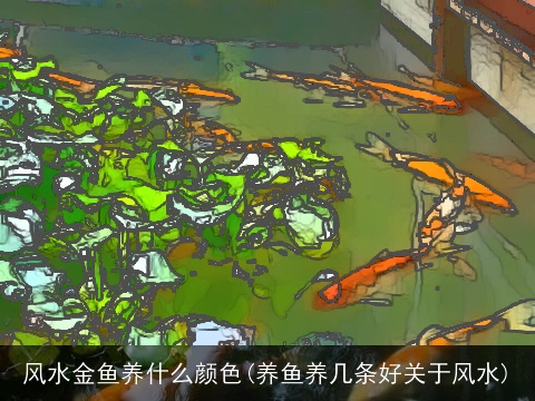 风水金鱼养什么颜色(养鱼养几条好关于风水)