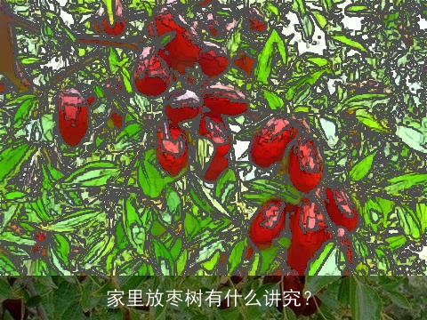 家里放枣树有什么讲究？