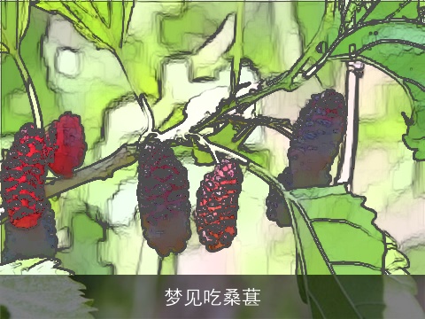 梦见吃桑葚