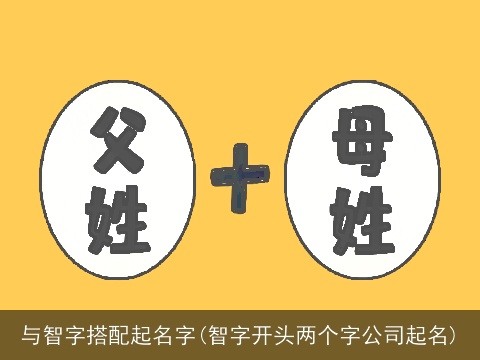 与智字搭配起名字(智字开头两个字公司起名)