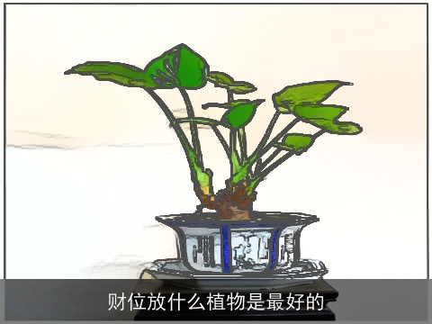 财位放什么植物是最好的
