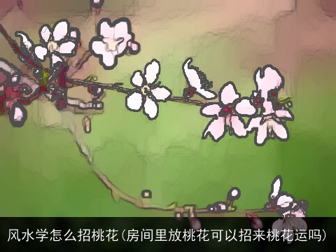 风水学怎么招桃花(房间里放桃花可以招来桃花运吗)