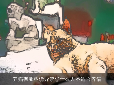 养猫有哪些诡异禁忌什么人不适合养猫
