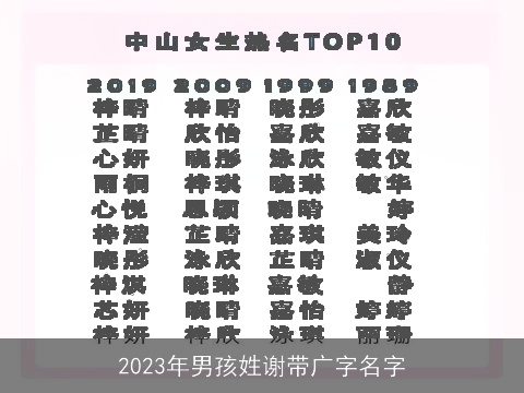 2023年男孩姓谢带广字名字