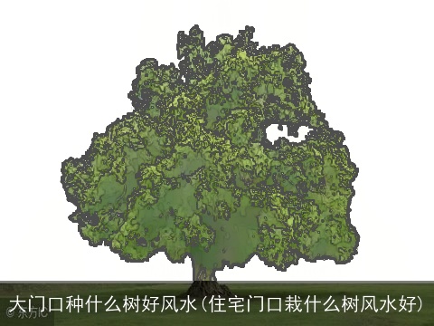 大门口种什么树好风水(住宅门口栽什么树风水好)