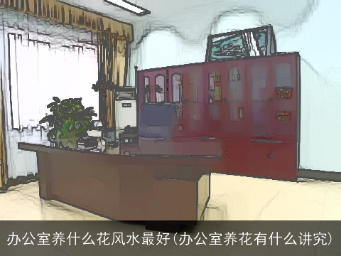 办公室养什么花风水最好(办公室养花有什么讲究)