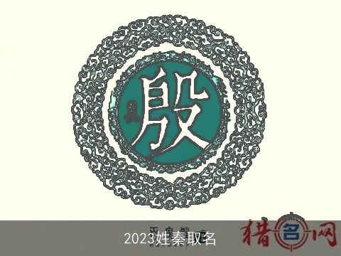 2023姓秦取名