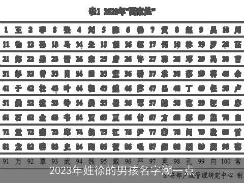2023年姓徐的男孩名字潮一点