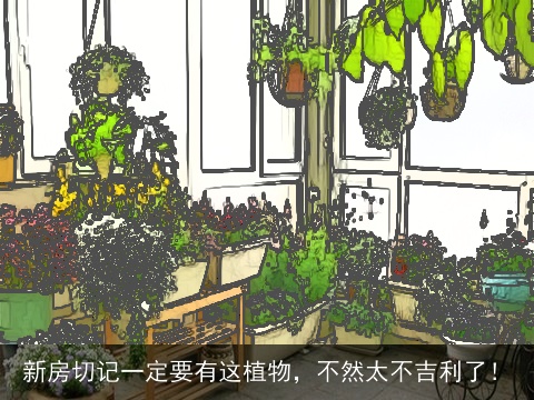 新房切记一定要有这植物，不然太不吉利了！