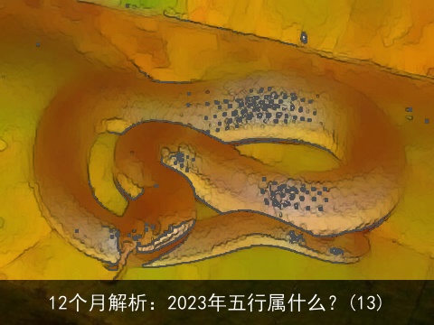 12个月解析：2023年五行属什么？(13)