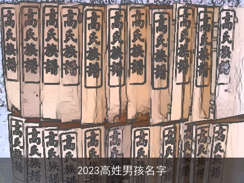 2023高姓男孩名字