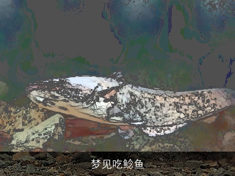 梦见吃鲶鱼