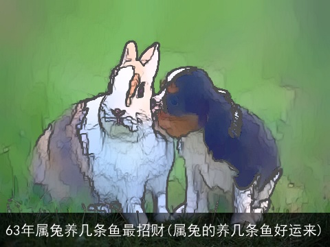 63年属兔养几条鱼最招财(属兔的养几条鱼好运来)